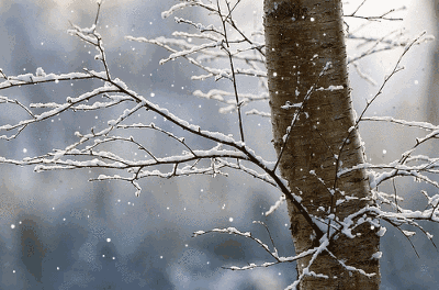 十首听雪诗词，感受古人诗意的冬天-第14张图片-非凡网