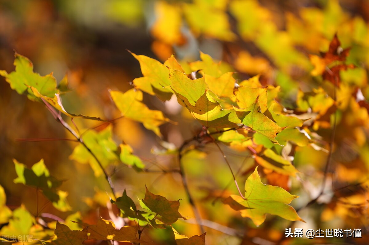 刘长卿这首诗情景交融，虽然只有寥寥数语，但是每一句都很感人-第4张图片-非凡网