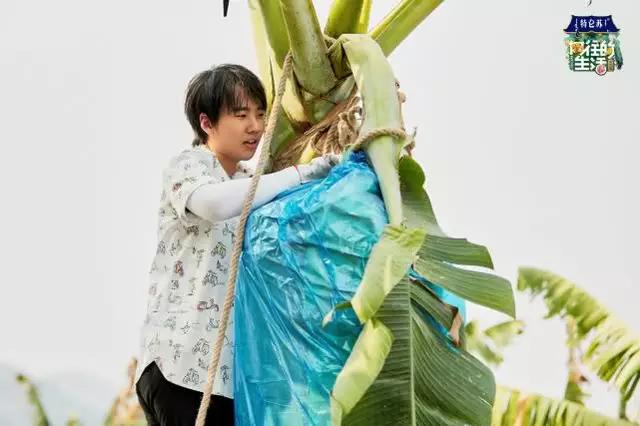 郭麒麟自己出来讨生活？频繁出现多个综艺节目