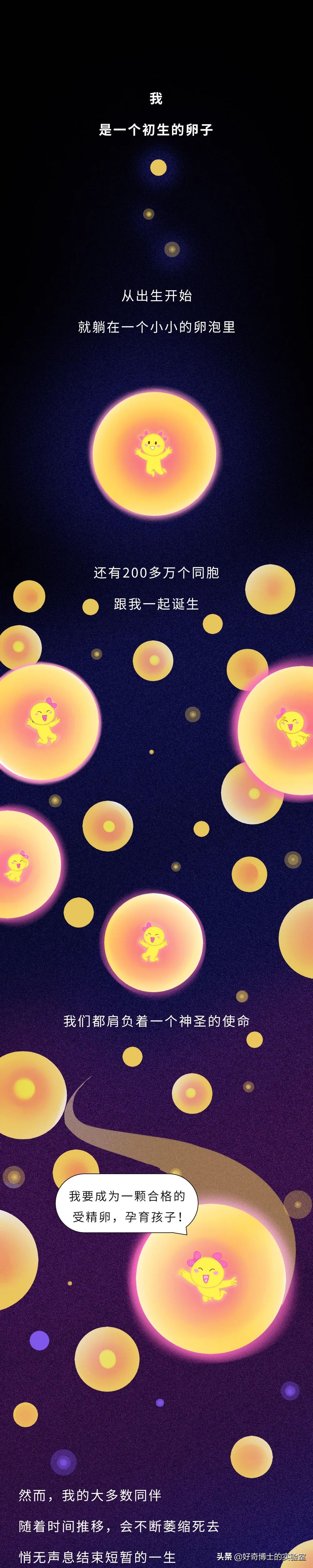你對女生的卵子根本一無所知