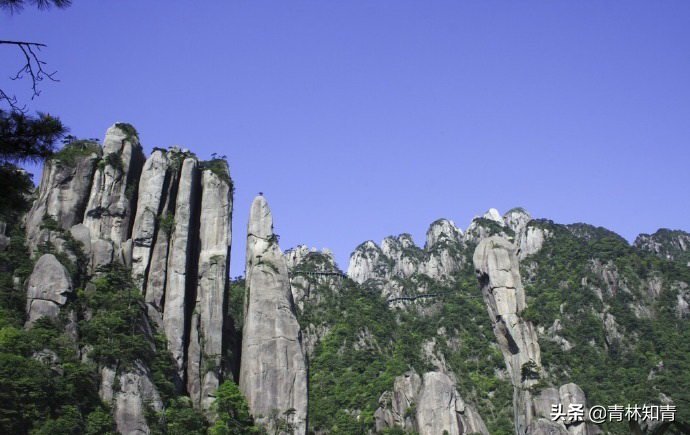 汪应辰：历史上最年轻的状元，遭秦桧排挤打击，后竟被人活活气死