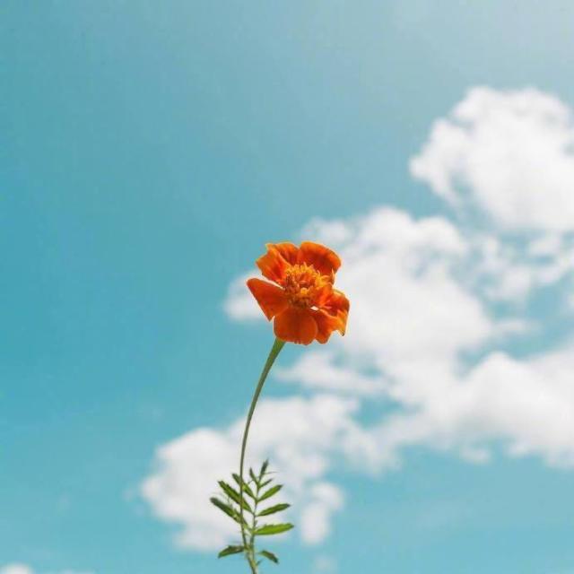 美好一天的心情短语 新的一天开始简短说说图片