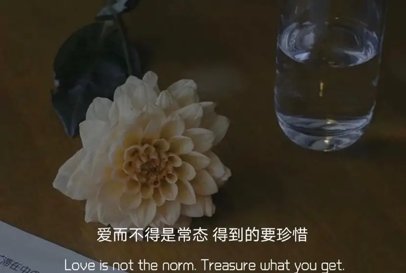 如果事与愿违,那一定是另有安排——品读《喧哗与骚动》