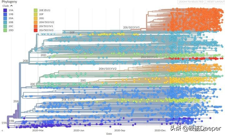 美国传染病学家命丢印度！全球对印度来客大封
