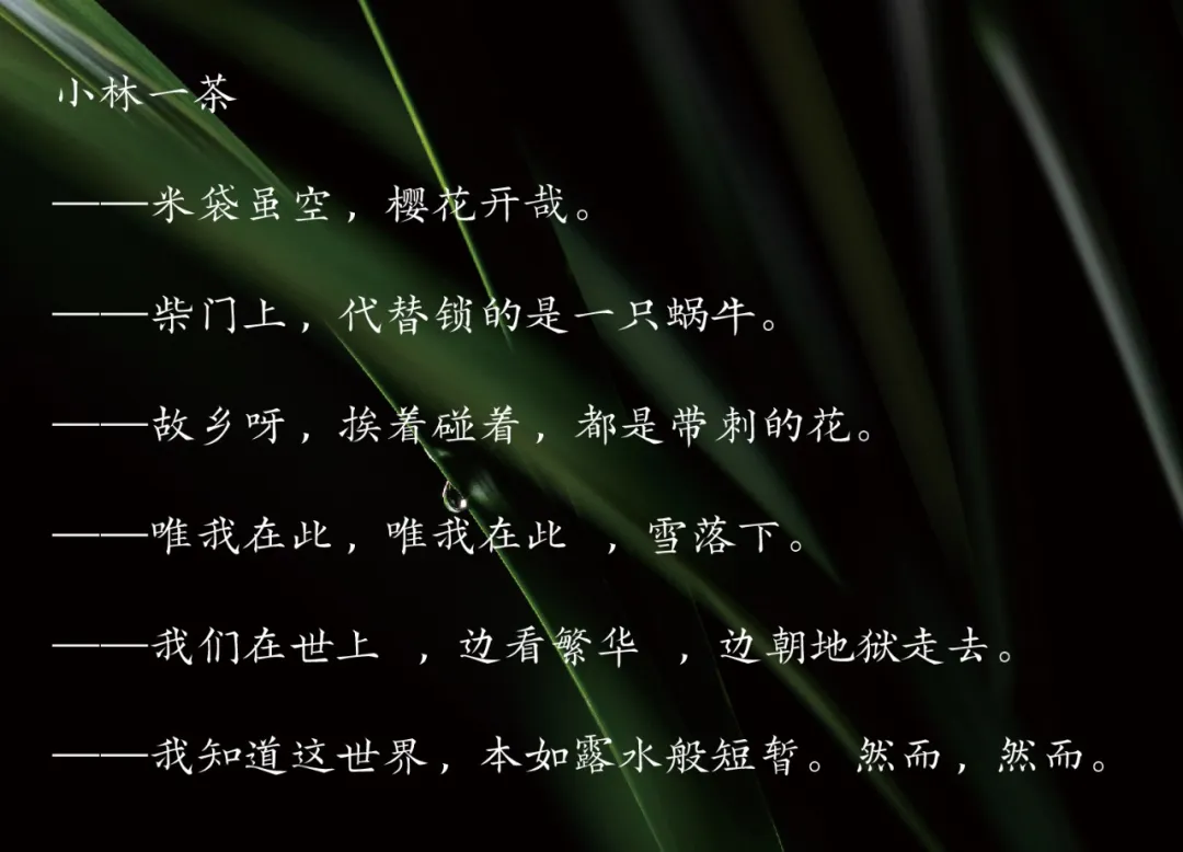 “牵牛花，一朵深渊色。”——有一种短诗，叫俳句