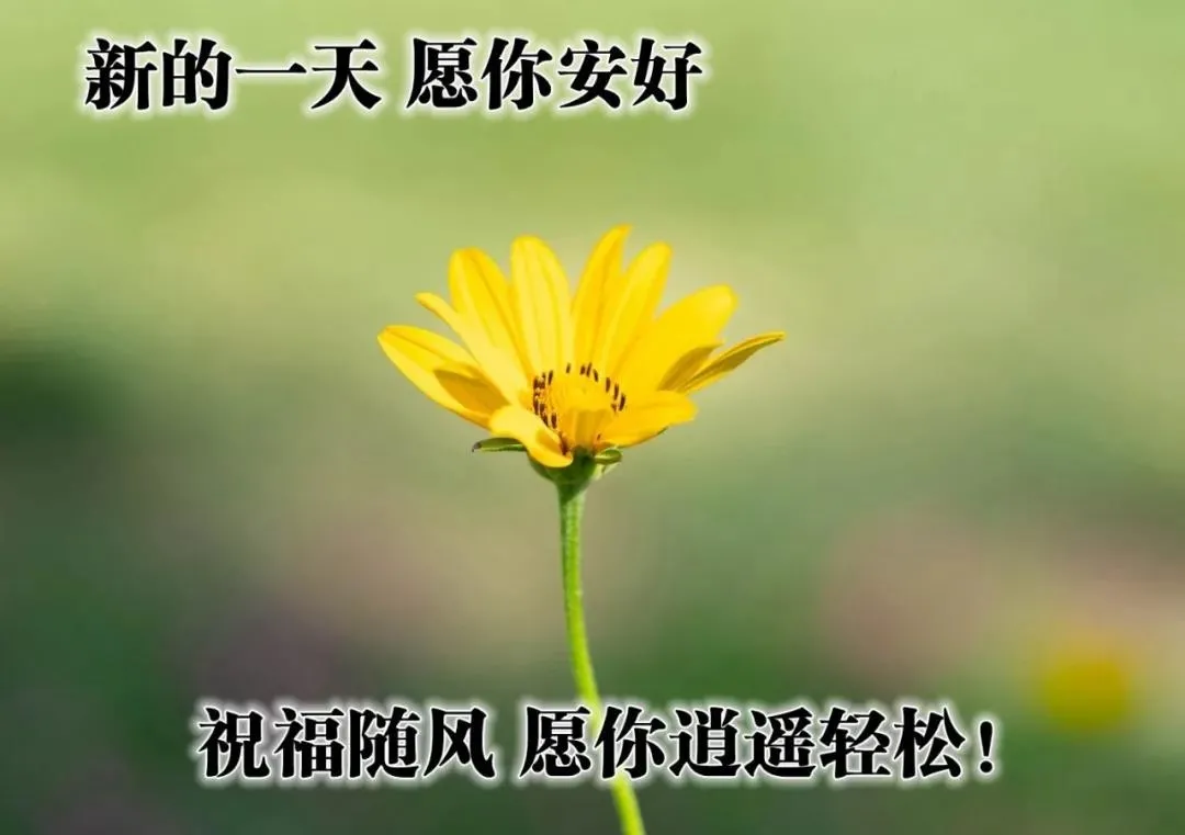 适合恋人早安心语  早上早上好图片漂亮祝福图片