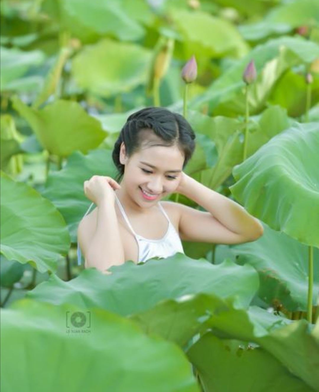 散文诗：荷塘花香