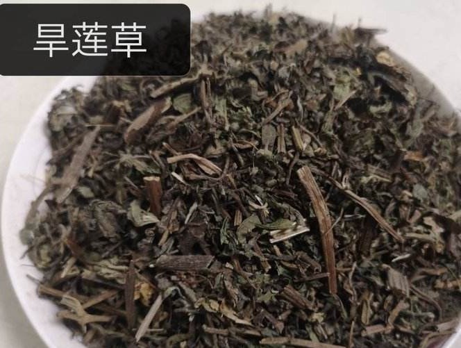 《本草精荟》：滋补肝肾：旱莲草的功效与应用