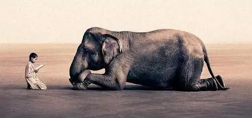 看了一百篇文案写作技巧干货、我终于不会写文案了