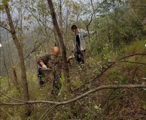 脱贫攻坚|西峡县军马河镇：积极开展森林火灾隐患排查，助力脱贫攻坚