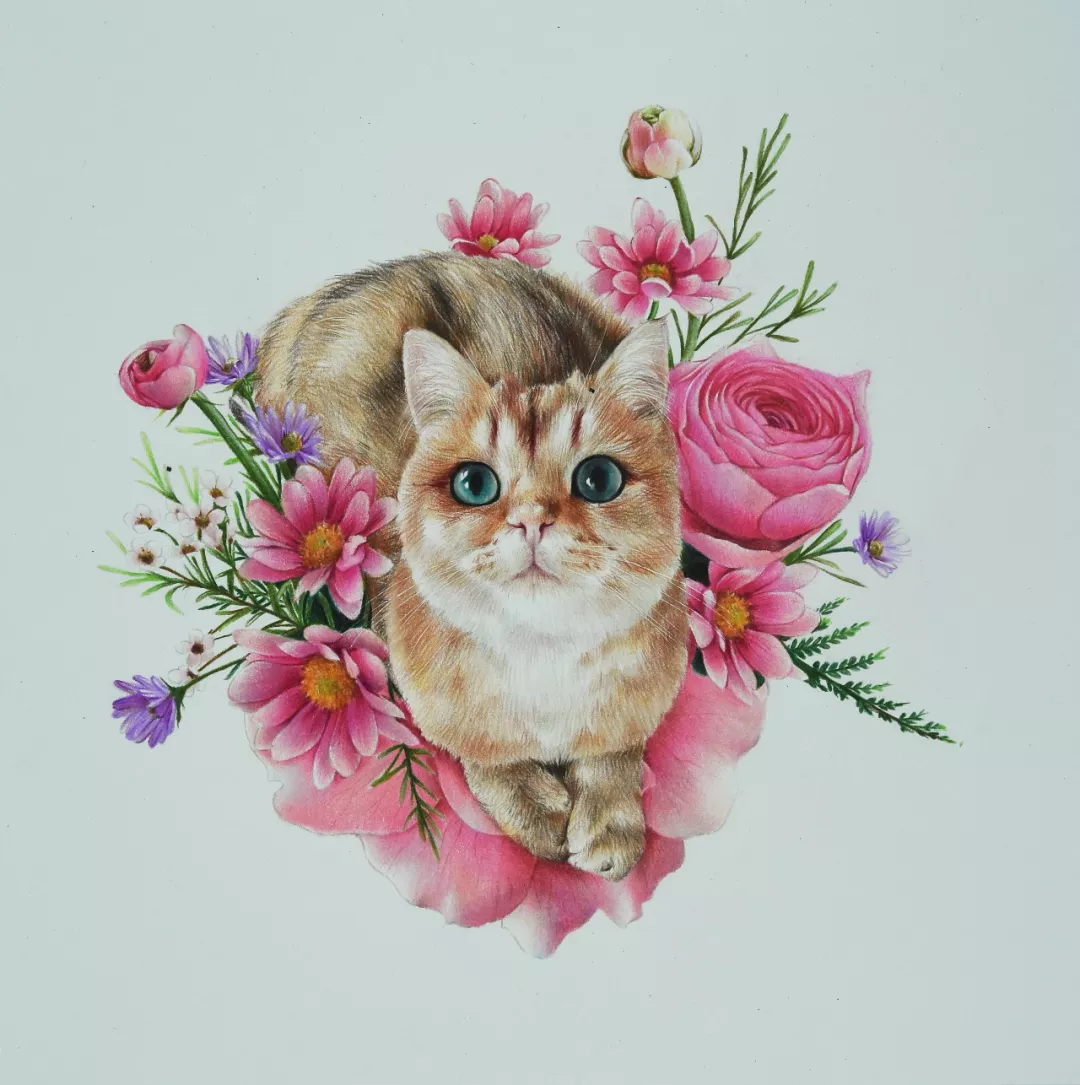 彩铅 小猫和它的花 文化 蛋蛋赞