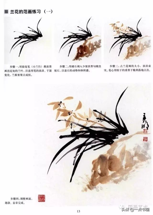 国画技法基础教学——兰花的画法