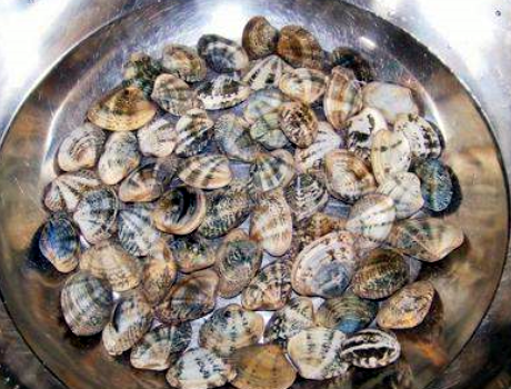 图片[3]-清洗花蛤 只加盐是错误的 老渔民教我土方子 花蛤吐沙快更干净-起舞食谱网