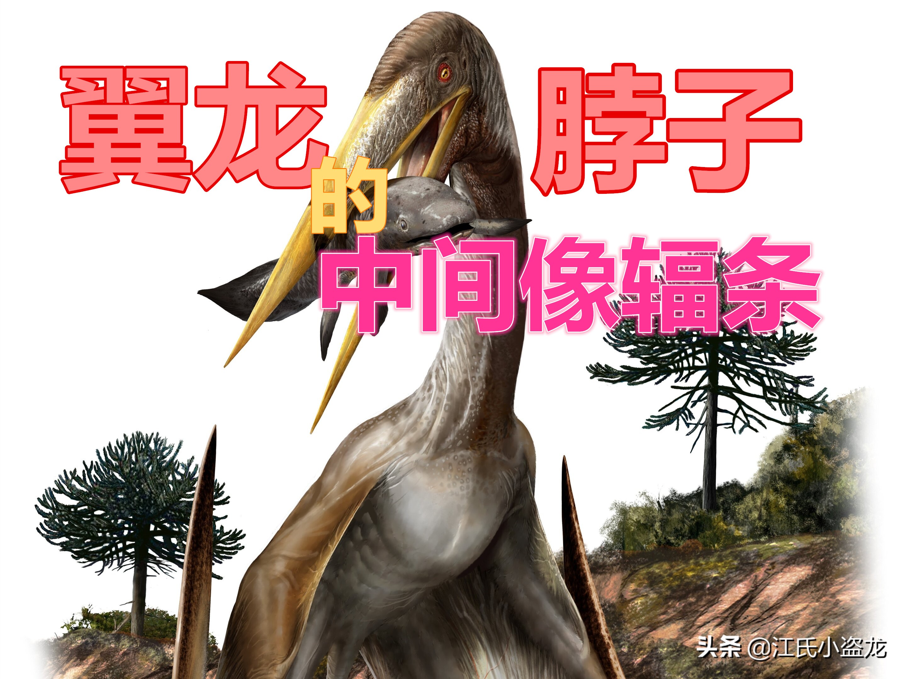 古生物學家揭開超級翼龍脖子中的奧秘