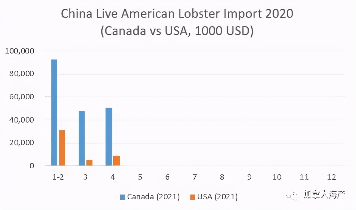 2021年中国美洲鳌龙虾进口再创新高，加拿大龙虾完胜波士顿龙虾