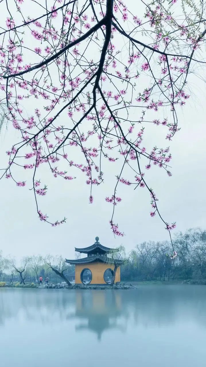 中国最美的春天，藏在这30个地方里