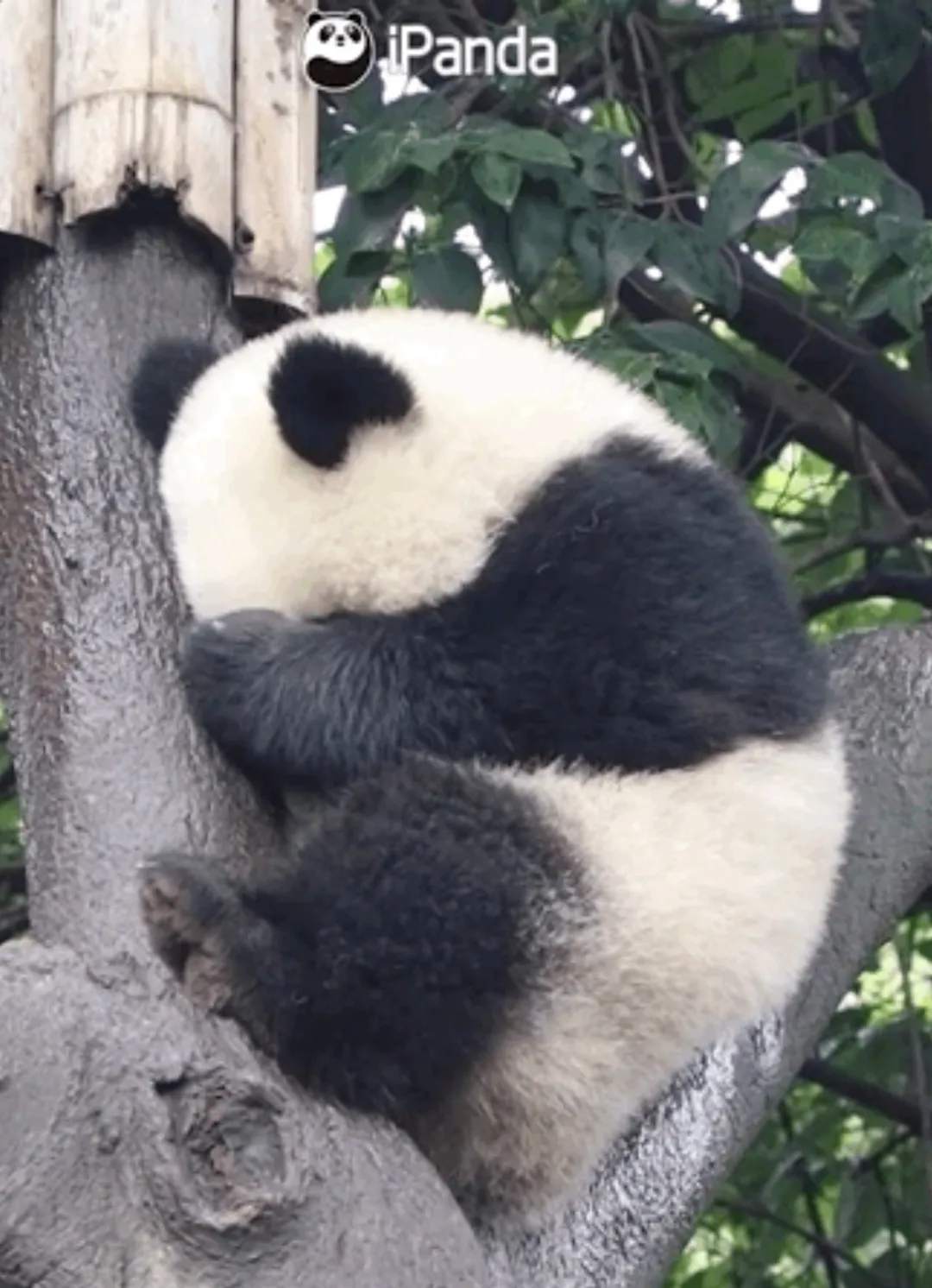 明天,一定行