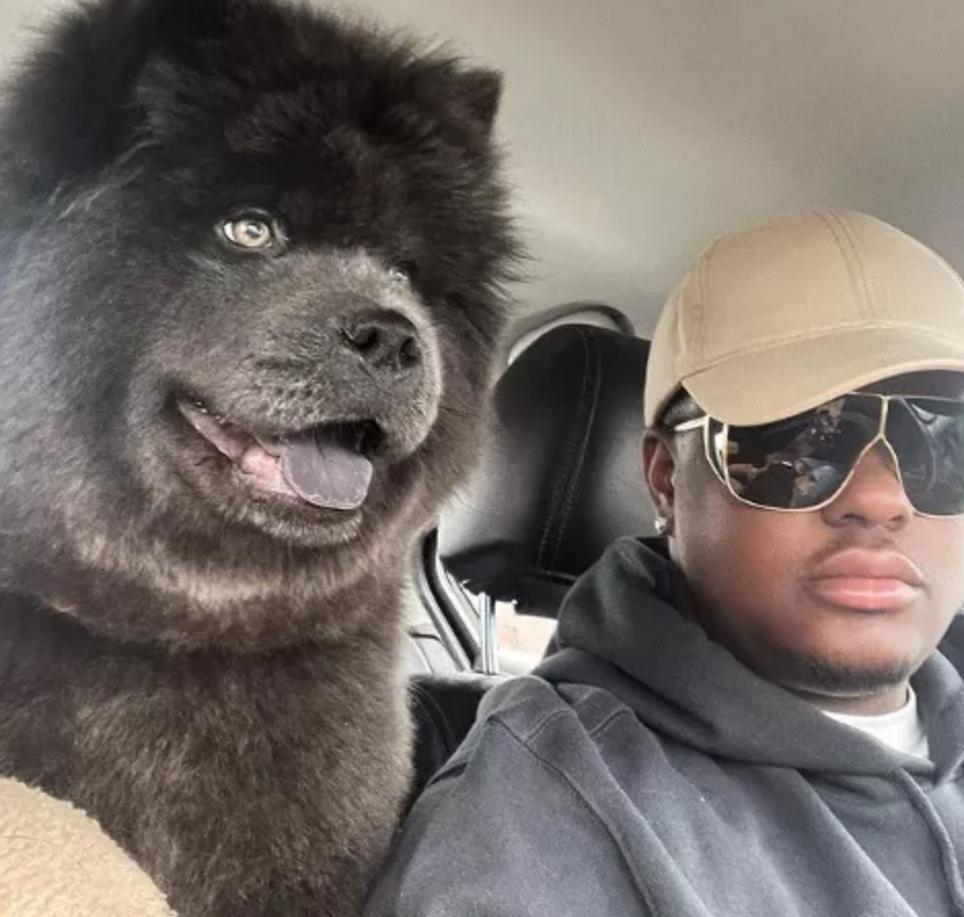 Mostack Rapper Dog The dog was abandoned for being like a