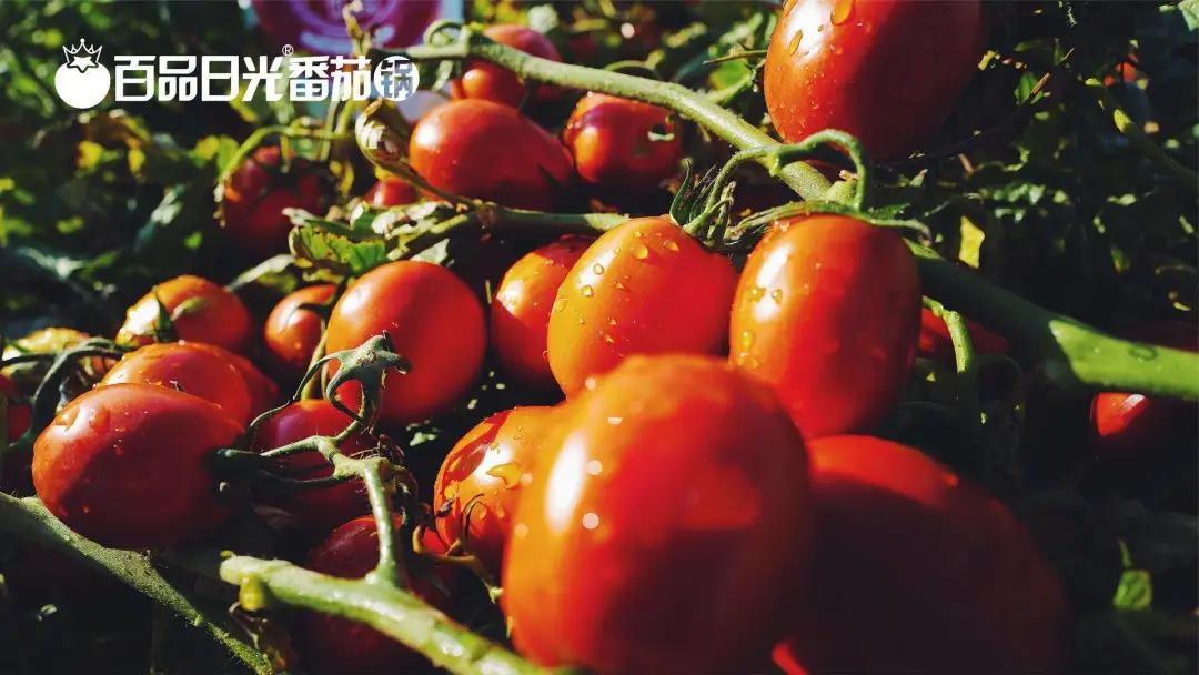 復(fù)購才是餐廳的命根！產(chǎn)品上新這么做