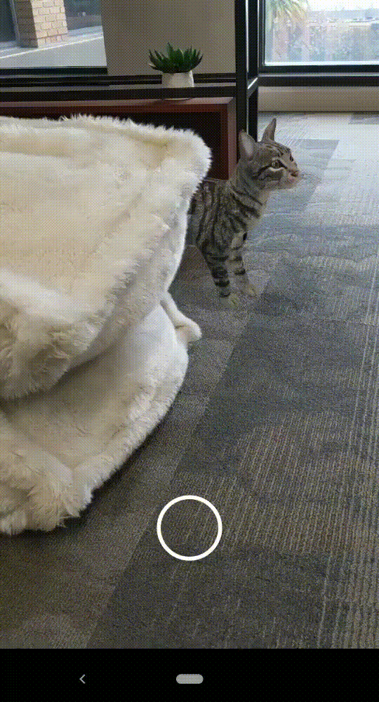 他们让云撸猫变成现实，台湾大学开发手持VR设备解救吸猫人