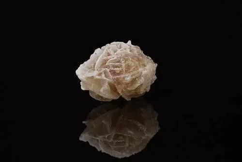 为啥在沙漠中见到“石头”要捡起来？驴友：不