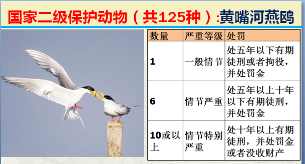 国家最新125类二级野生保护名录，图片及违法对应刑责