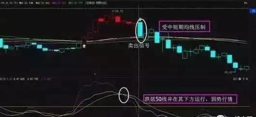 教你如何去看盘，简单实用，新手必学