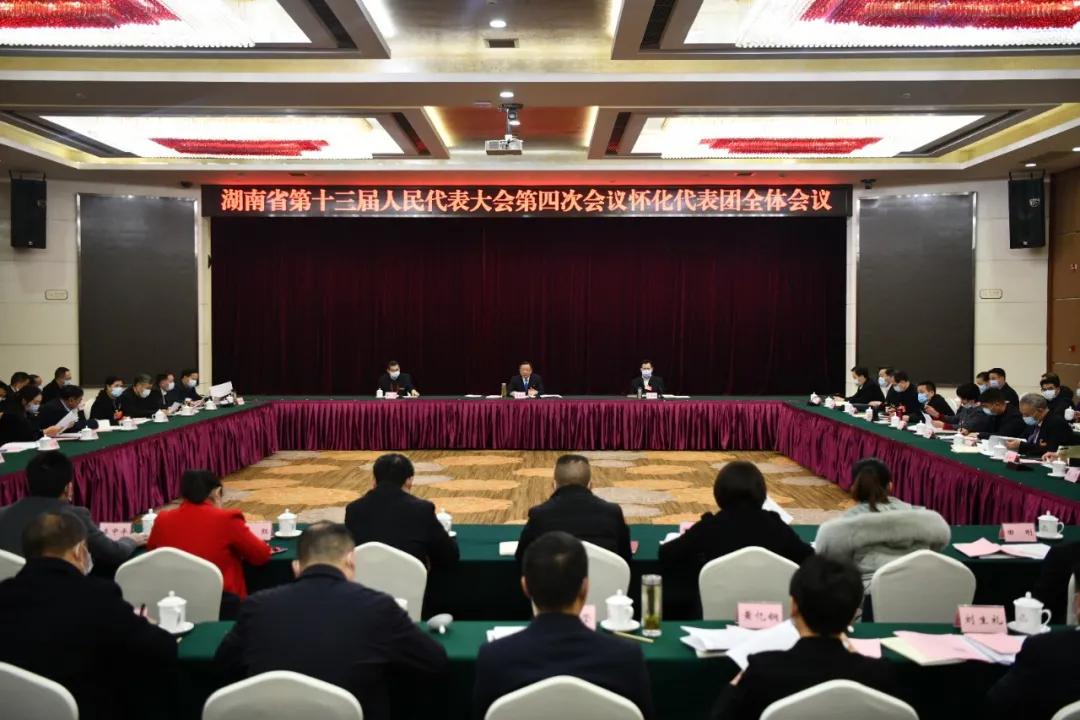 怀化代表团举行全体会议 推选彭国甫为怀化代表团团长，雷绍业、石希欣为副团长