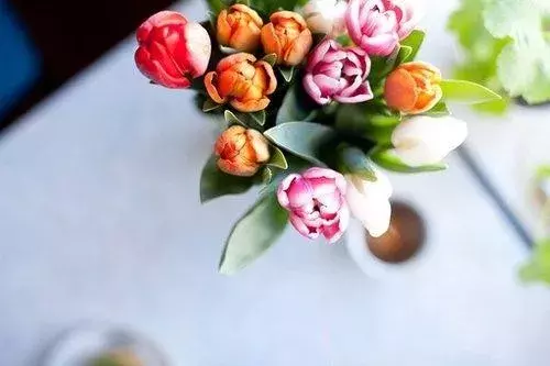 简单安静平淡的生活的句子 放开执念，随缘是最好的生活图片