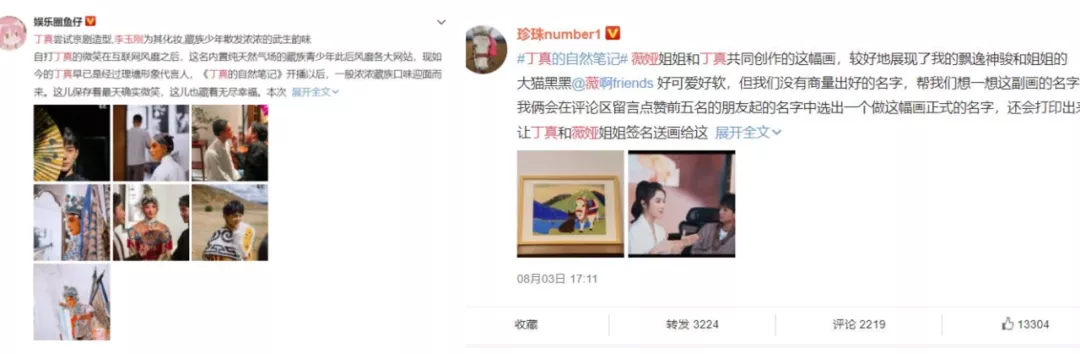从《丁真的自然笔记》出圈,看微博如何重新定义纪录片多元价值?
