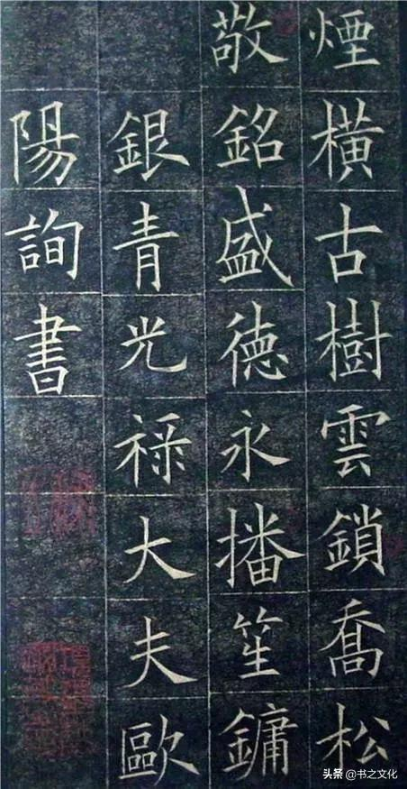 被修复后的欧体,美到骨子里