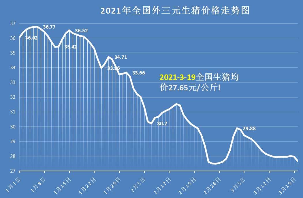 猪价“一片绿”，26地行情走跌，强压猪价的导火索，如此简单