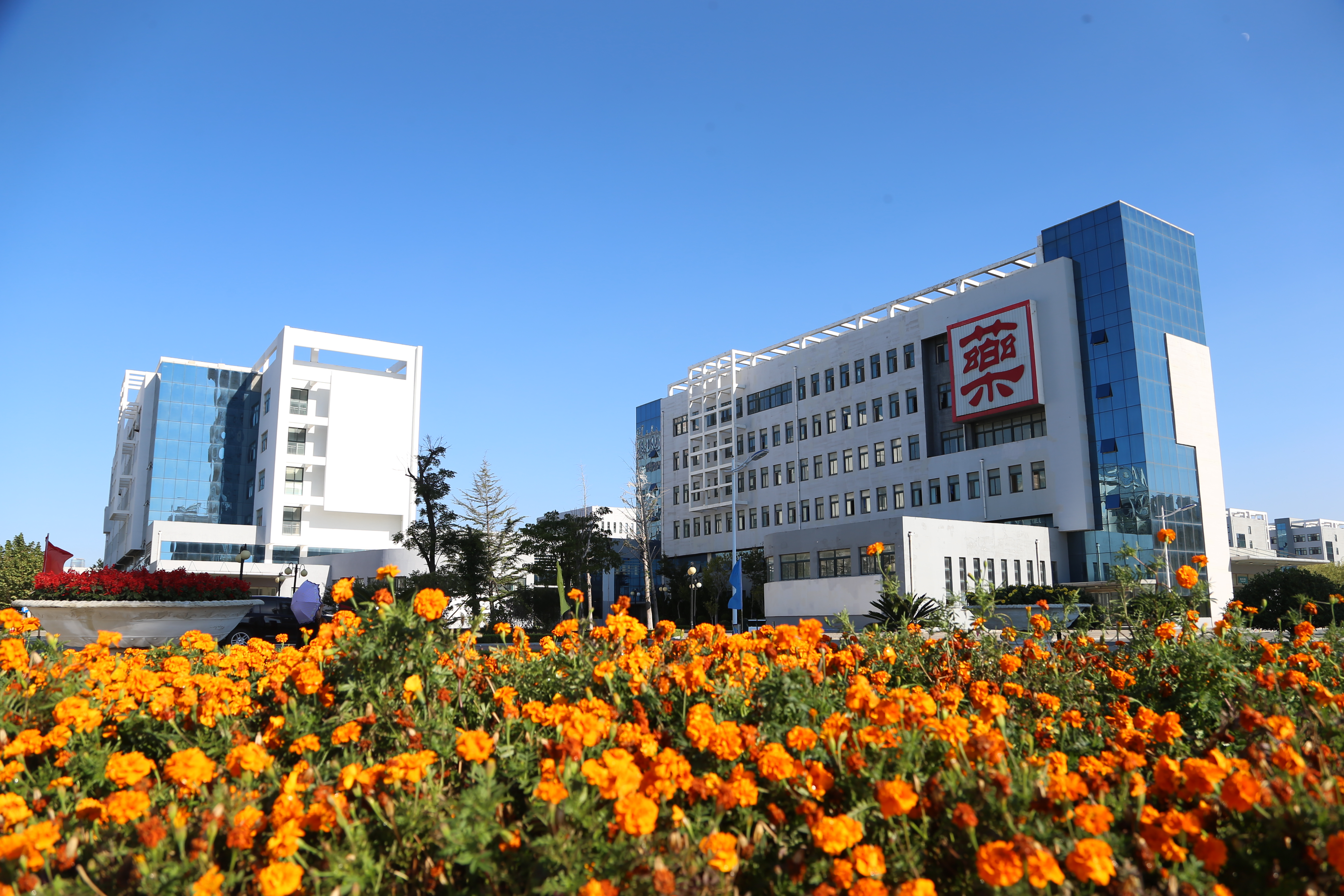 山东中医药高等专科学校2020年普通专升本考试再创佳绩