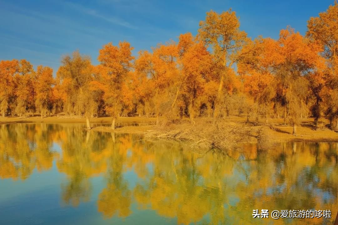 The best place to travel in October-November, the late autumn tour bus is about to depart