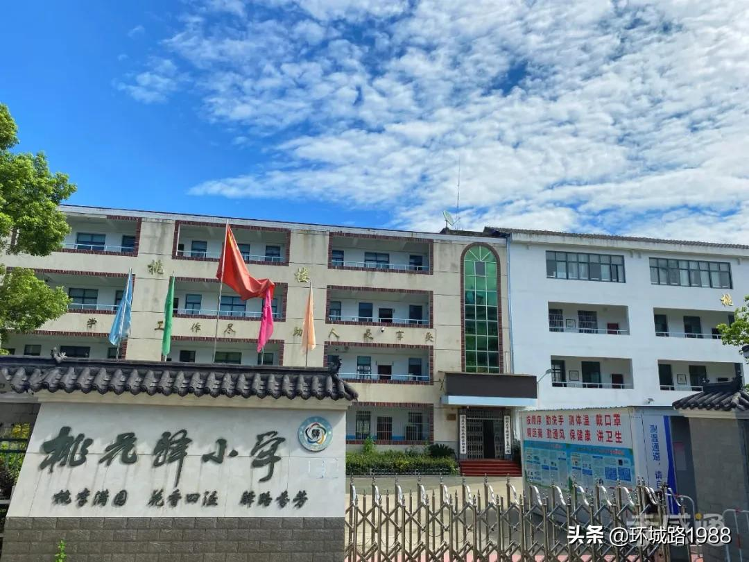 这里是,杨店