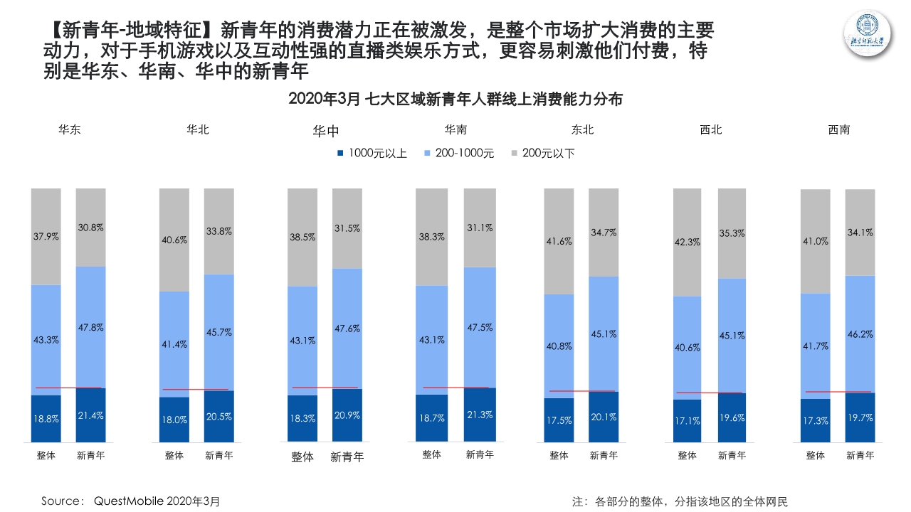 新青年新消费观察研究报告