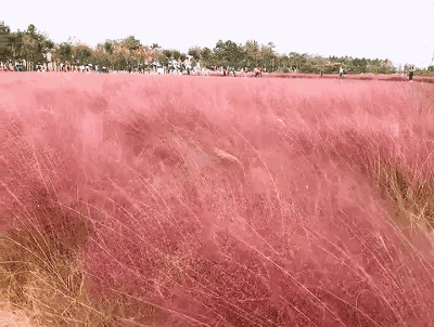 湖北重启，最值得去的地方瞧妹帮大家找到了