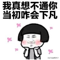 信息流培训机构不肯告诉你的一些事，我就直说了吧