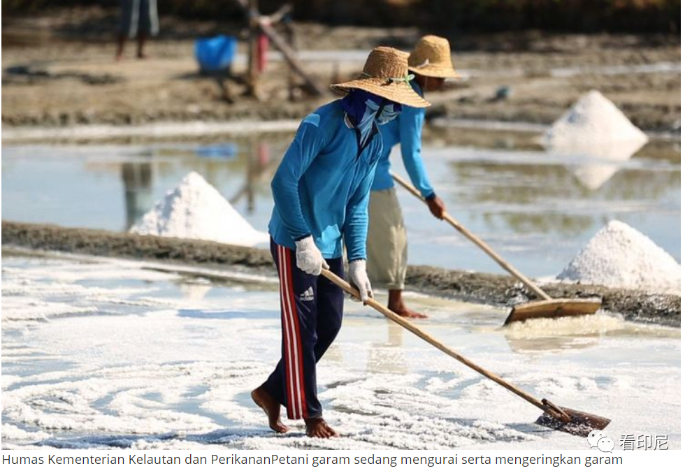 海洋大国的印尼每年进口多少食盐