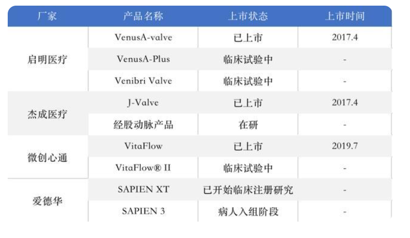 黄金细分赛道：人口老年化加剧，心脏瓣膜治疗，国产替代正当时