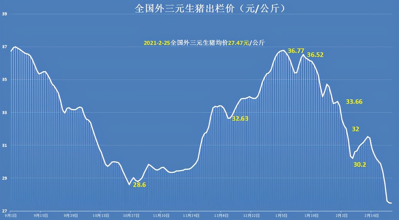 猪价持续大跌，要跌到何时？4个坏消息和3个利好信号