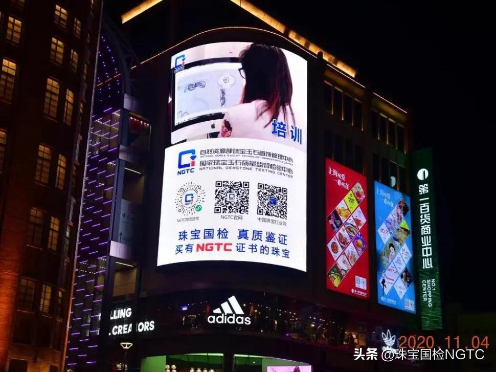 经鉴定,TA确实是进博会上最“闪耀”的仔