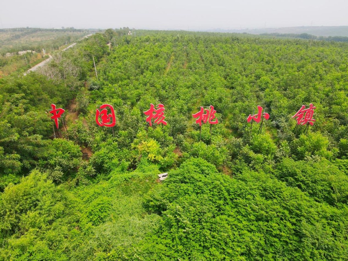 “寻味河北 探秘家乡”主题活动圆满落幕