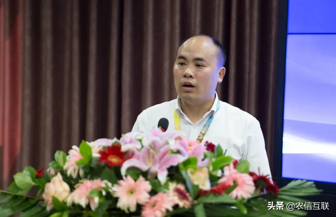 线上518战役，线下签约落地！眉山1亿智能猪场项