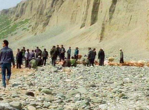 中国新疆30万老鼠集体跳崖自尽，专家给出的推测