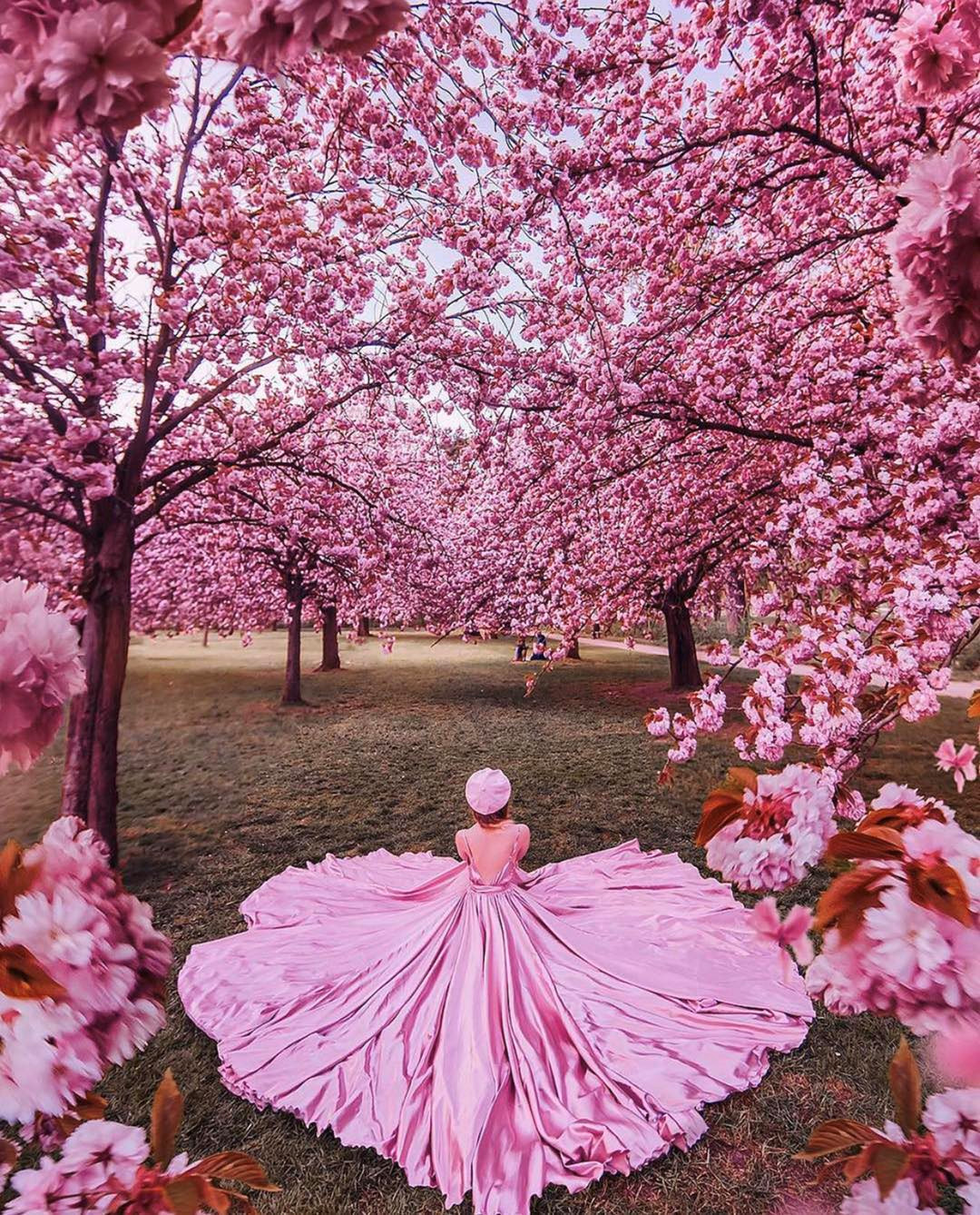 惊艳是什么意思看看什么叫惊艳