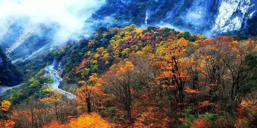 Missing these 14 maple viewing areas in November is equivalent to missing the entire autumn