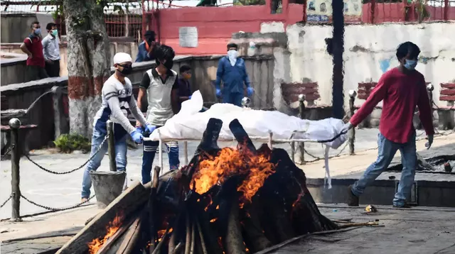 印度实现「群体免疫」的方法太可怕