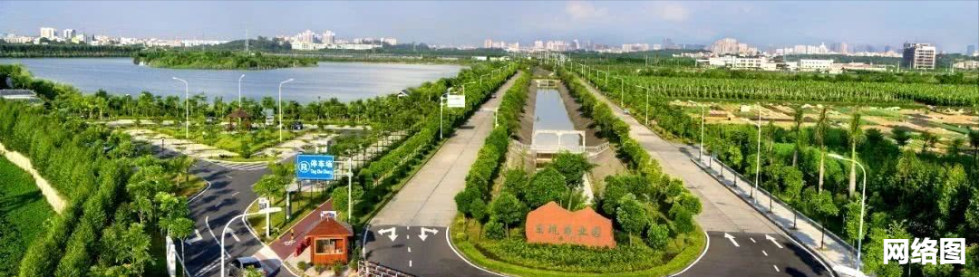 未來五年，東坑將培育 產值超700億元產業集群