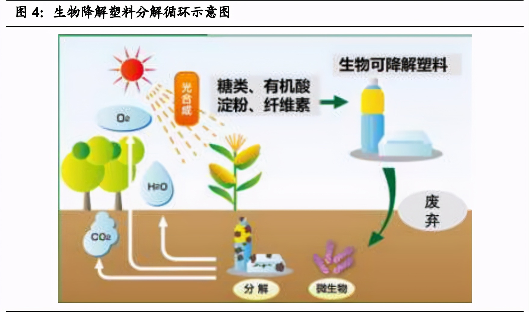 可降解塑料行业深度报告：三大催化因素，政府行动是重点